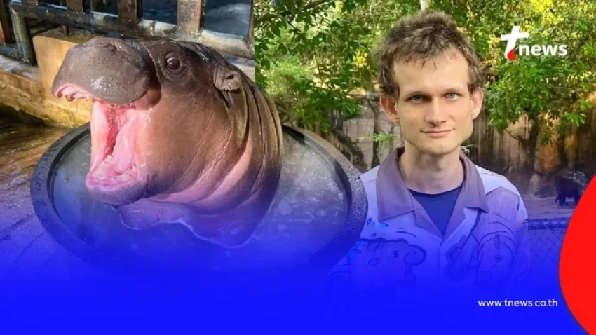 วาสนาสุดๆ “Vitalik Buterin” มอบเงิน 10 ล้านบาท สร้างบ้านใหม่ให้ “หมูเด้ง”